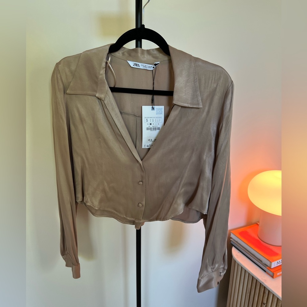 Zara Brown Cropped Button Down Blouse